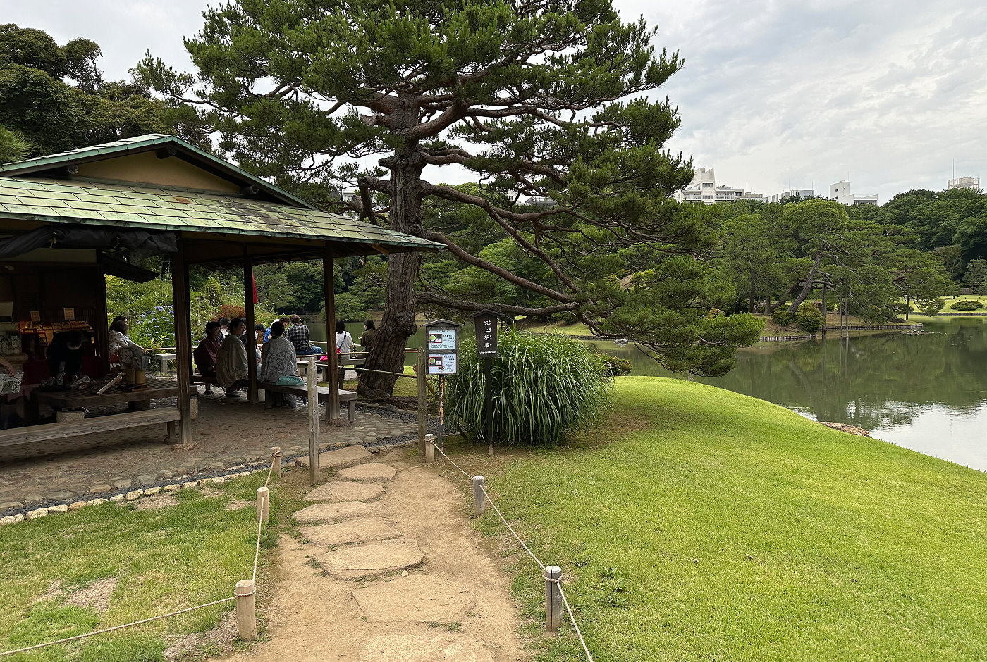 Ett litet utomhusfik med bänkar mitt i en traditionell japansk trädgård med en sjö i mitten.