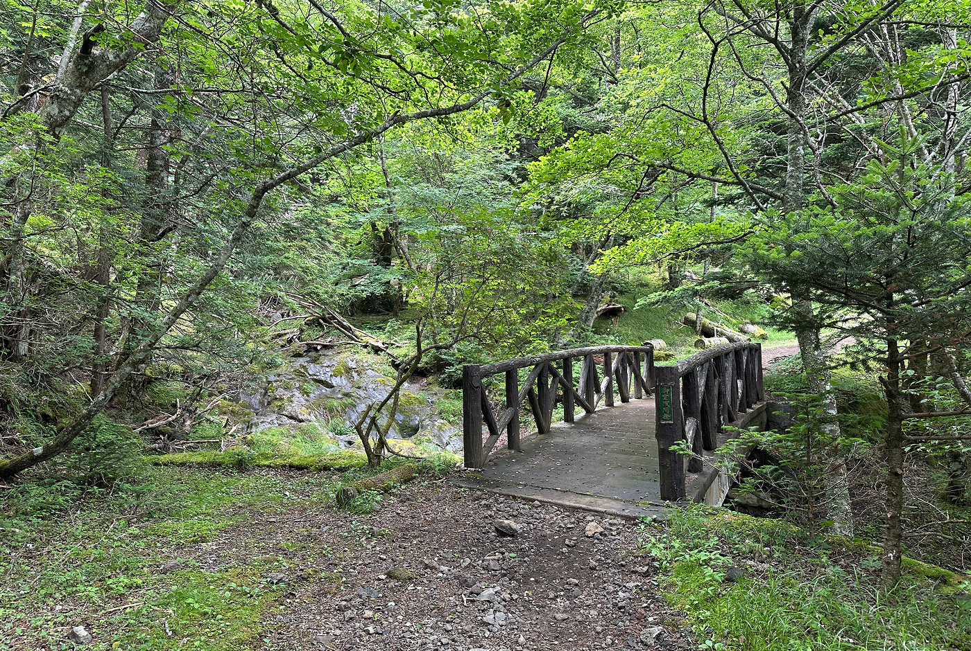 Gammaldags liten träbro över vatten i en lummig skog.