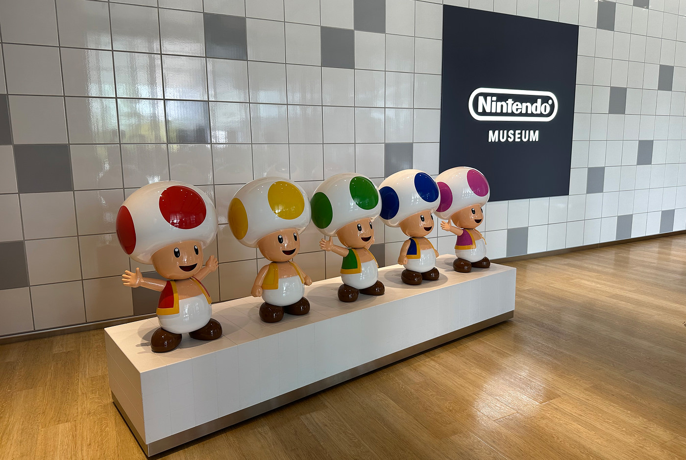En bred piedestal med karaktären Toad i fem olika färger. En märk skylt bakom på en ljus kakelvägg lyder "Nintendo Museum".