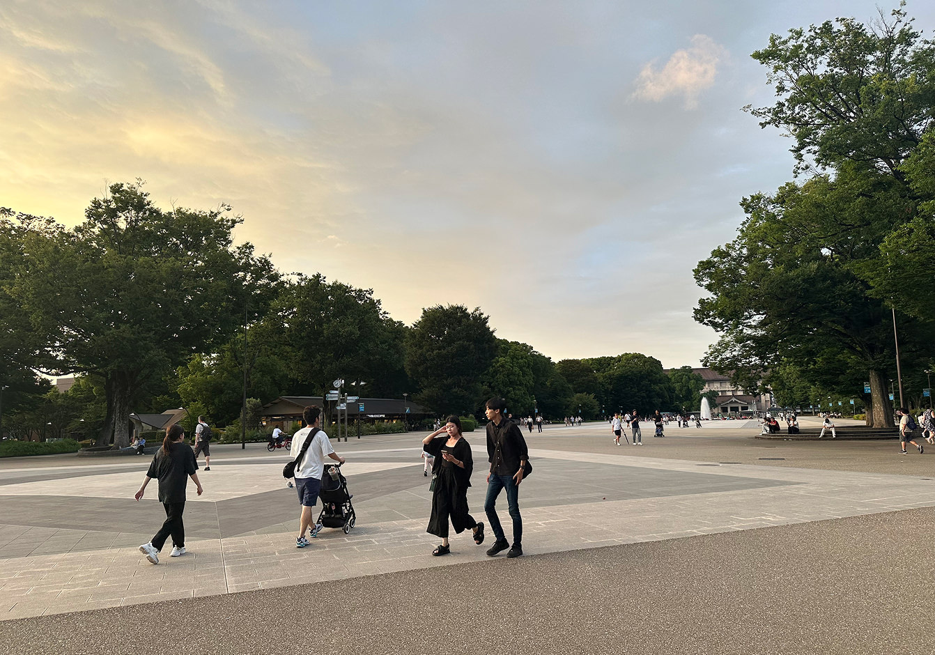 Enorm öppen yta i en park med stora buskiga träd. Det är en hel del personer på plats som promenerar runt eller sitter ned.