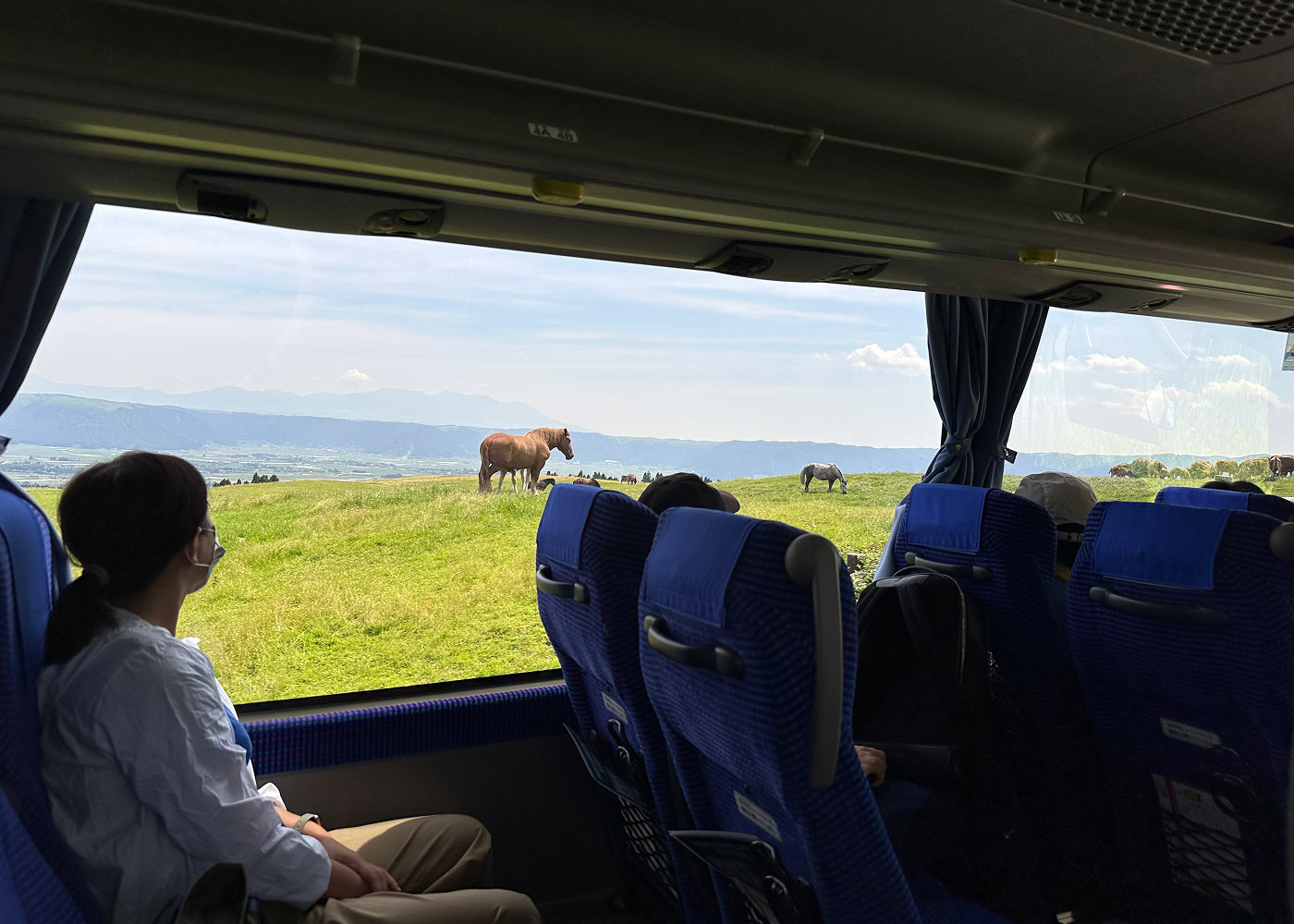 Inifrån en buss syns ett grönt fält där flera hästar står och betar. I fjärran ser man en enorm lummig dal.