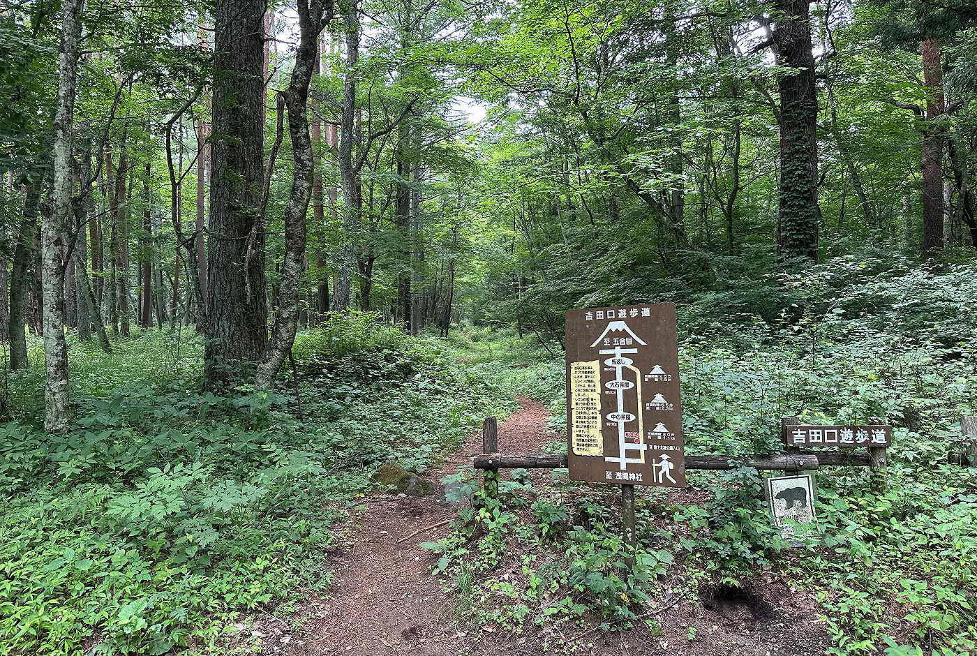 Smal stig genom en lummig skog. En skylt innan stigen visar en enkel vägbeskrivning.