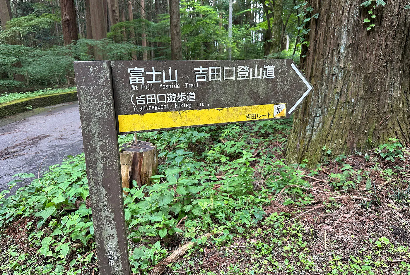 En skylt som pekar till höger vid två vägar i en skog. Text på den lyder "Mt Fuji Yosnida Trail".