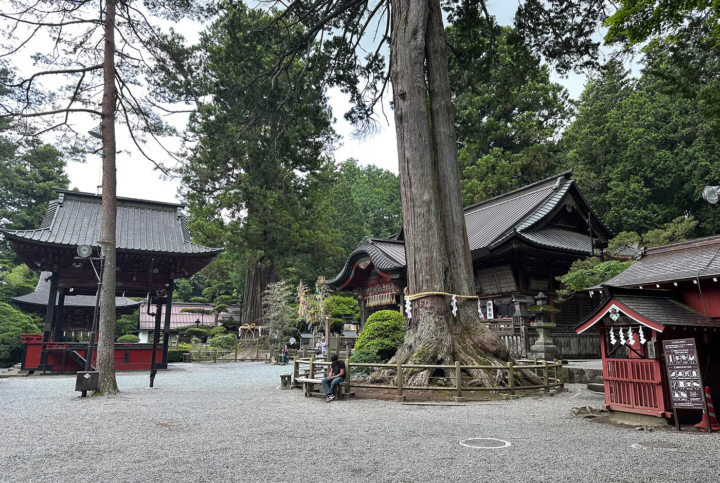 Tre röda tempelhus med svart tak på en stor grusgård. I mitten på gården växer ett enormt barrträd.