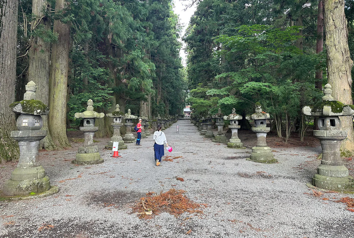 Lång grusgång genom en tät skog med höga barrträd. Långs med gången står stora stenlyktor med några meters mellanrum.